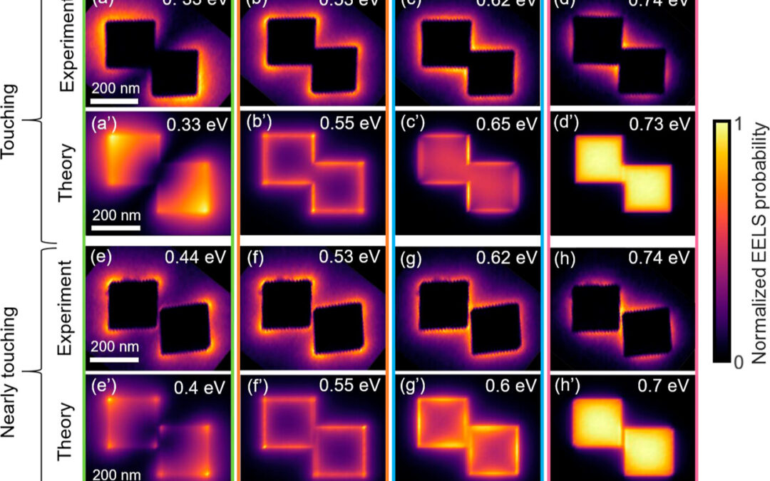 Andrea Konečná spoluautorkou nově publikovaného článku v ACS nano