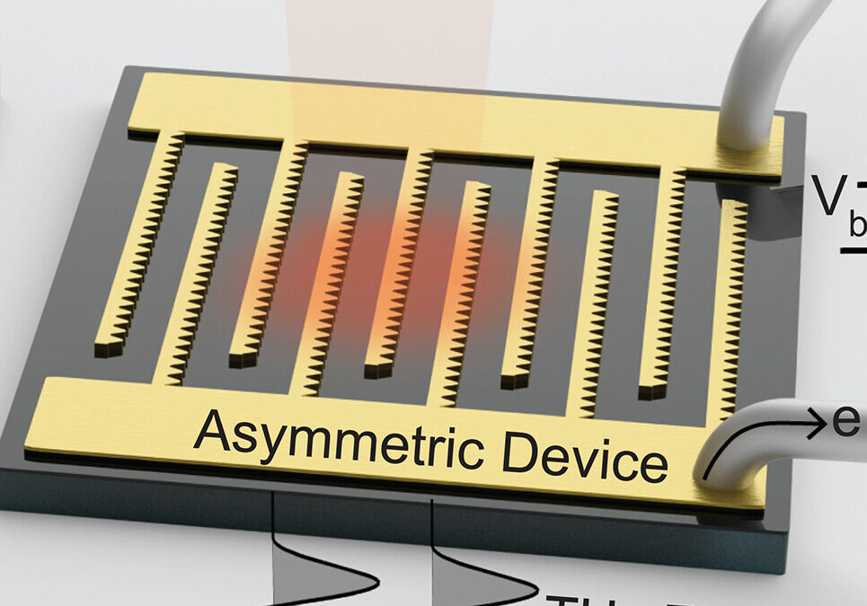 Nový článek v časopisu Science